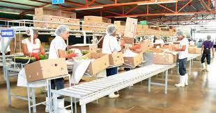 PROCESOS DE LOS ALIMENTOS