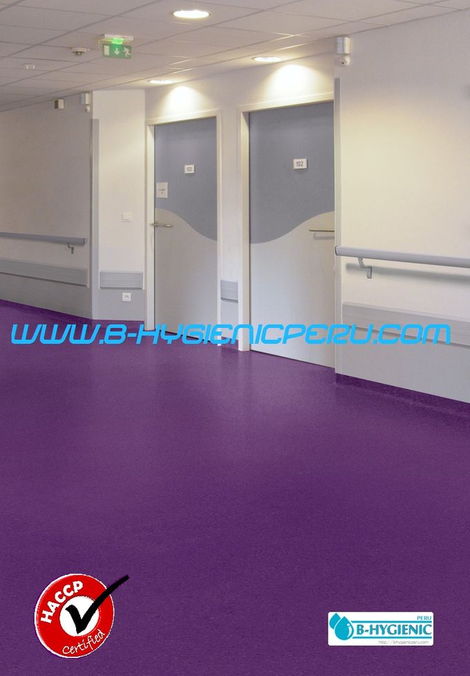 ASEPCIA ELEVADA Y REGLAMENTACION NORMA HACCP